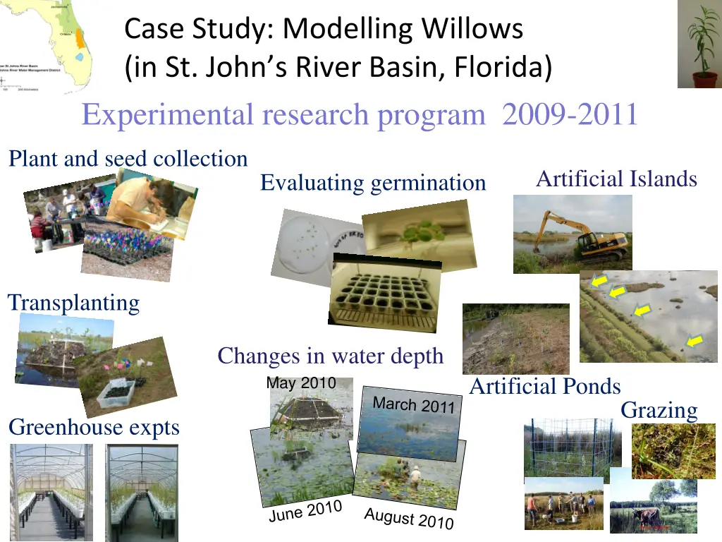 case study modelling willows in st john s river