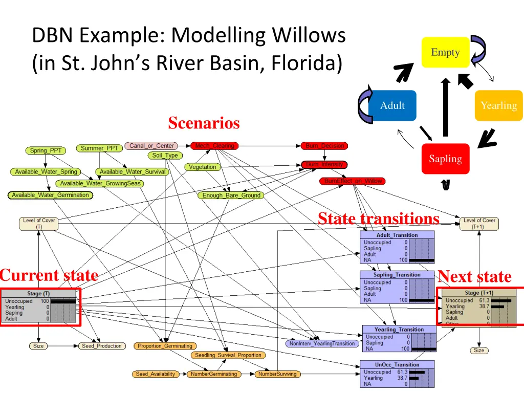 dbn example modelling willows in st john s river