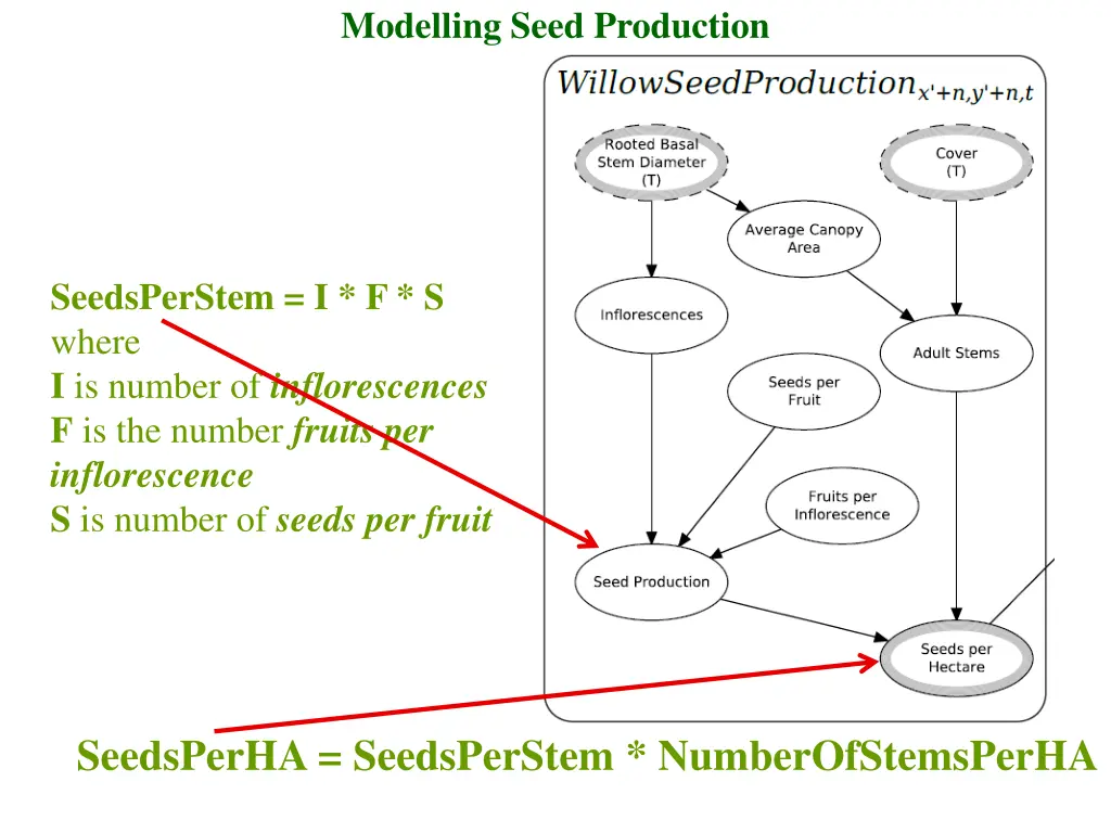 modelling seed production