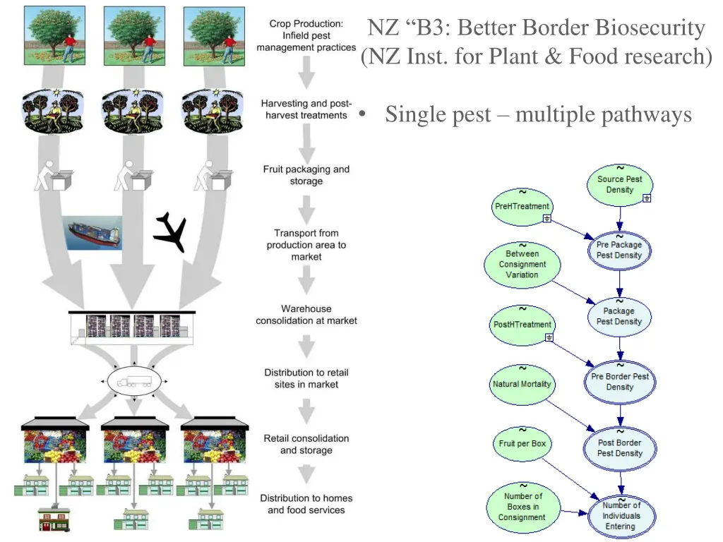 nz b3 better border biosecurity nz inst for plant