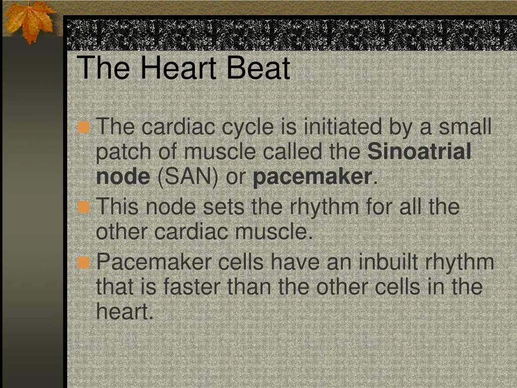 the heart beat 1