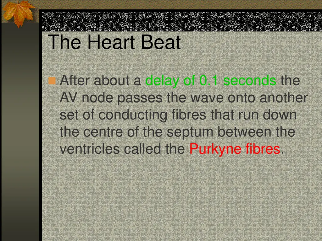 the heart beat 4