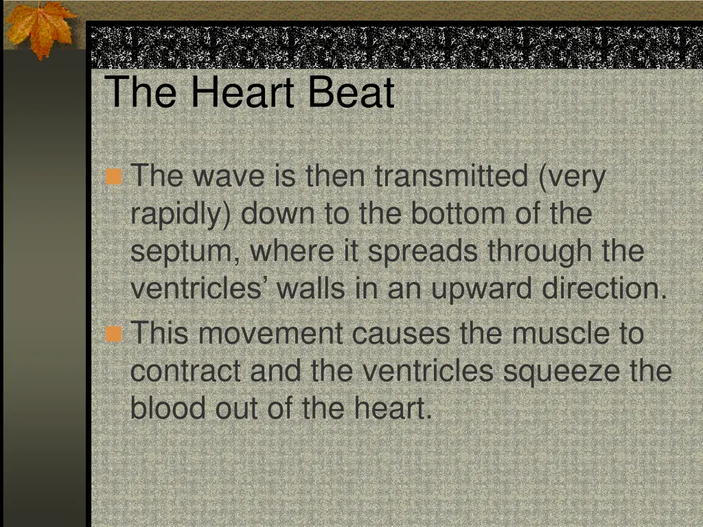 the heart beat 5