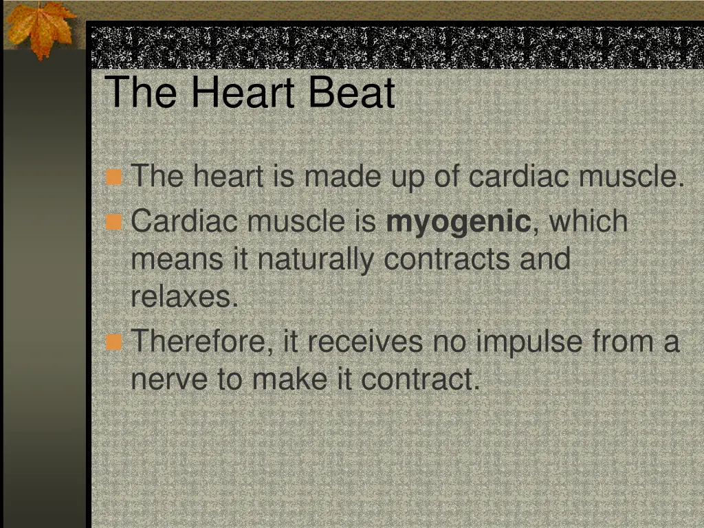 the heart beat