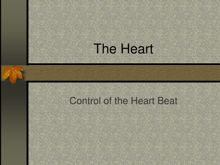 the heart