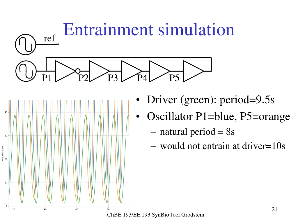 entrainment simulation