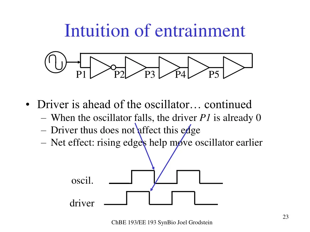 intuition of entrainment 1