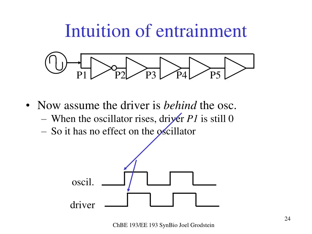 intuition of entrainment 2