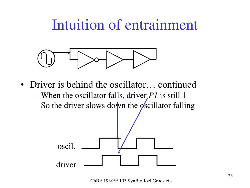 intuition of entrainment 3