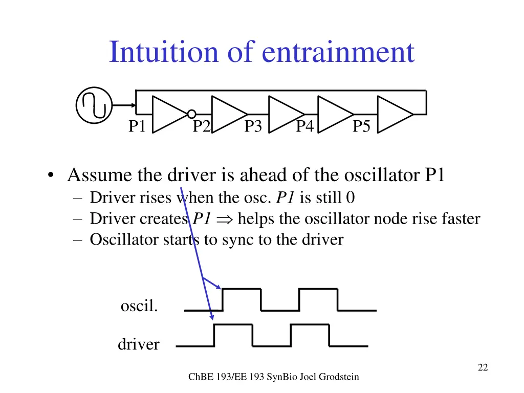 intuition of entrainment