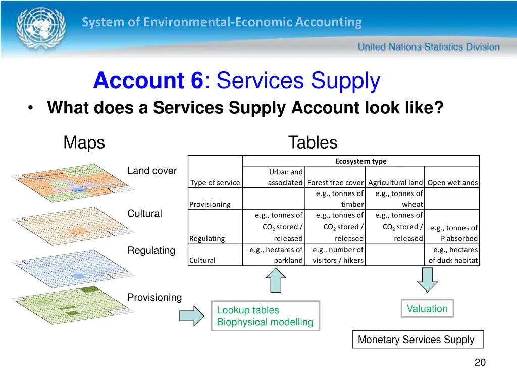 system of environmental economic accounting 19