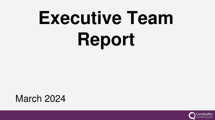 executive team report