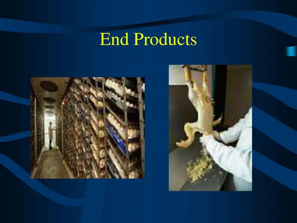 end products