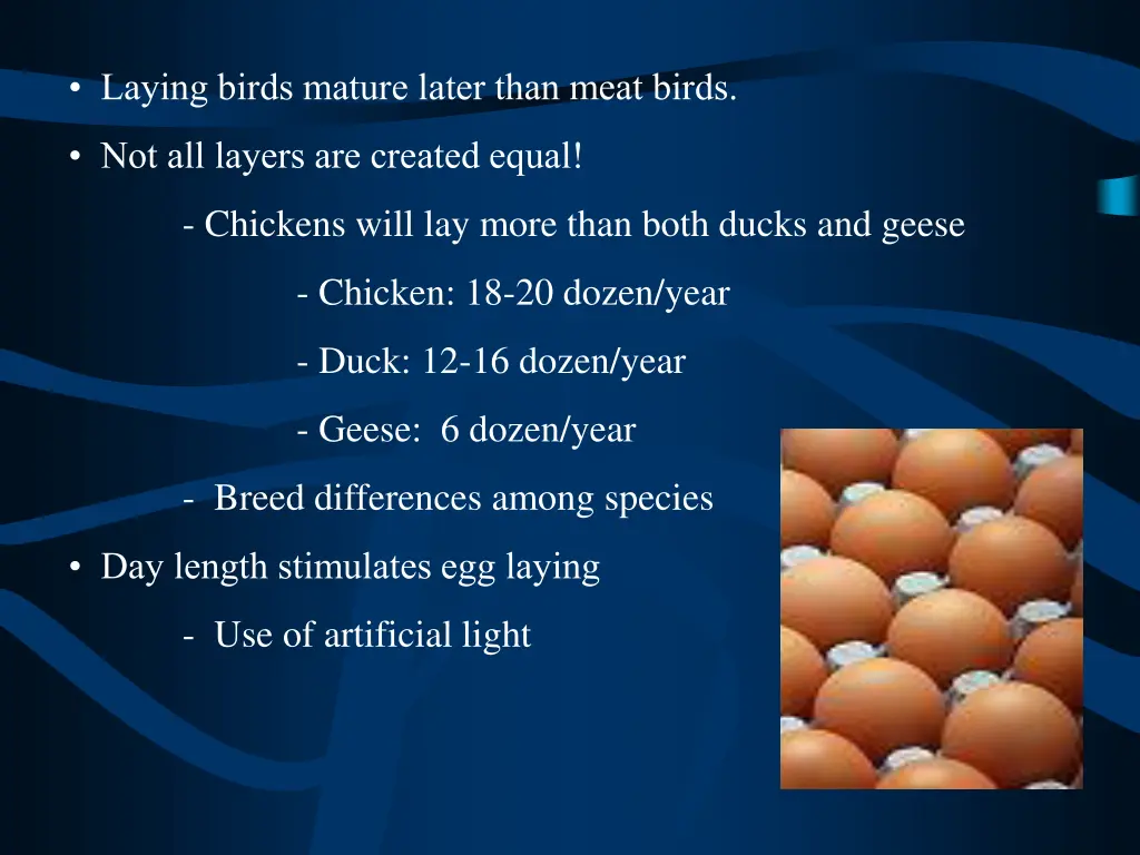 laying birds mature later than meat birds