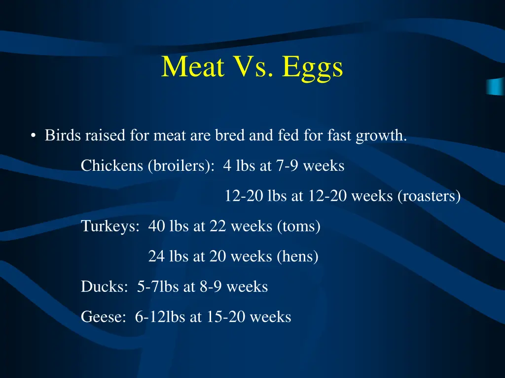 meat vs eggs