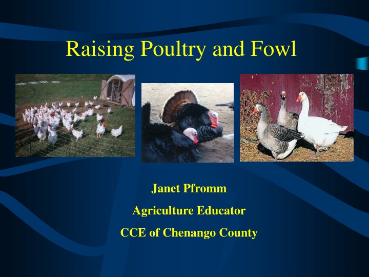 raising poultry and fowl