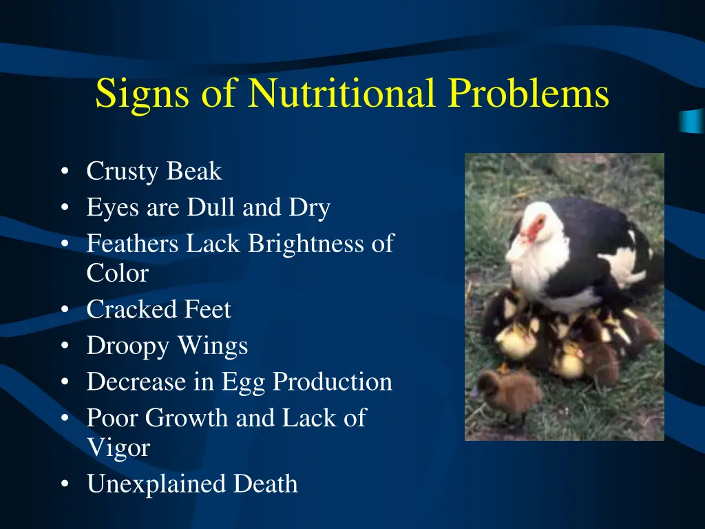 signs of nutritional problems