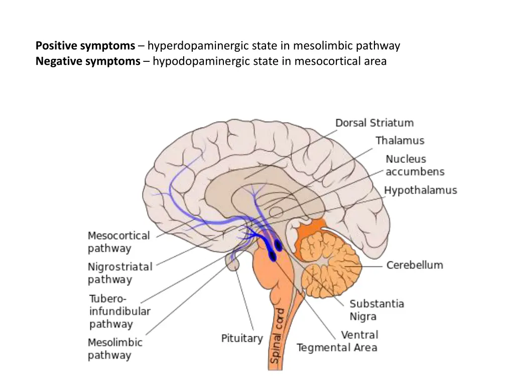 positive symptoms hyperdopaminergic state