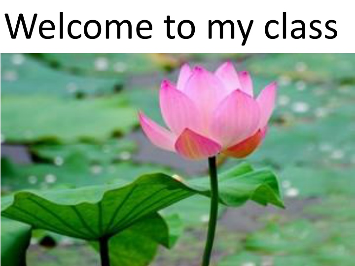 welcome to my class