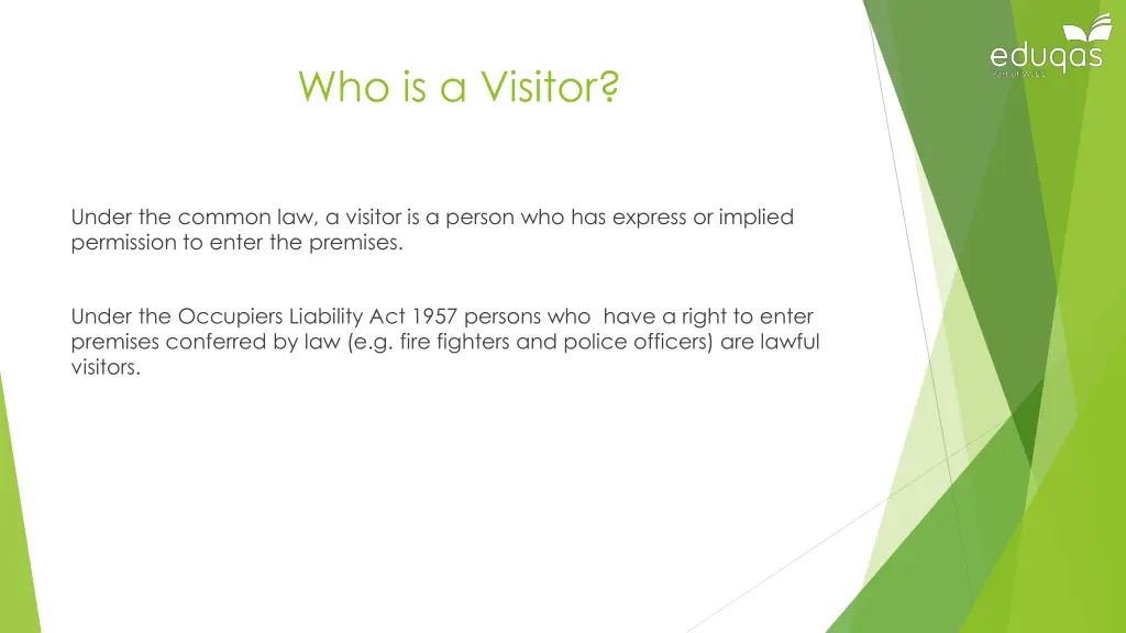 who is a visitor