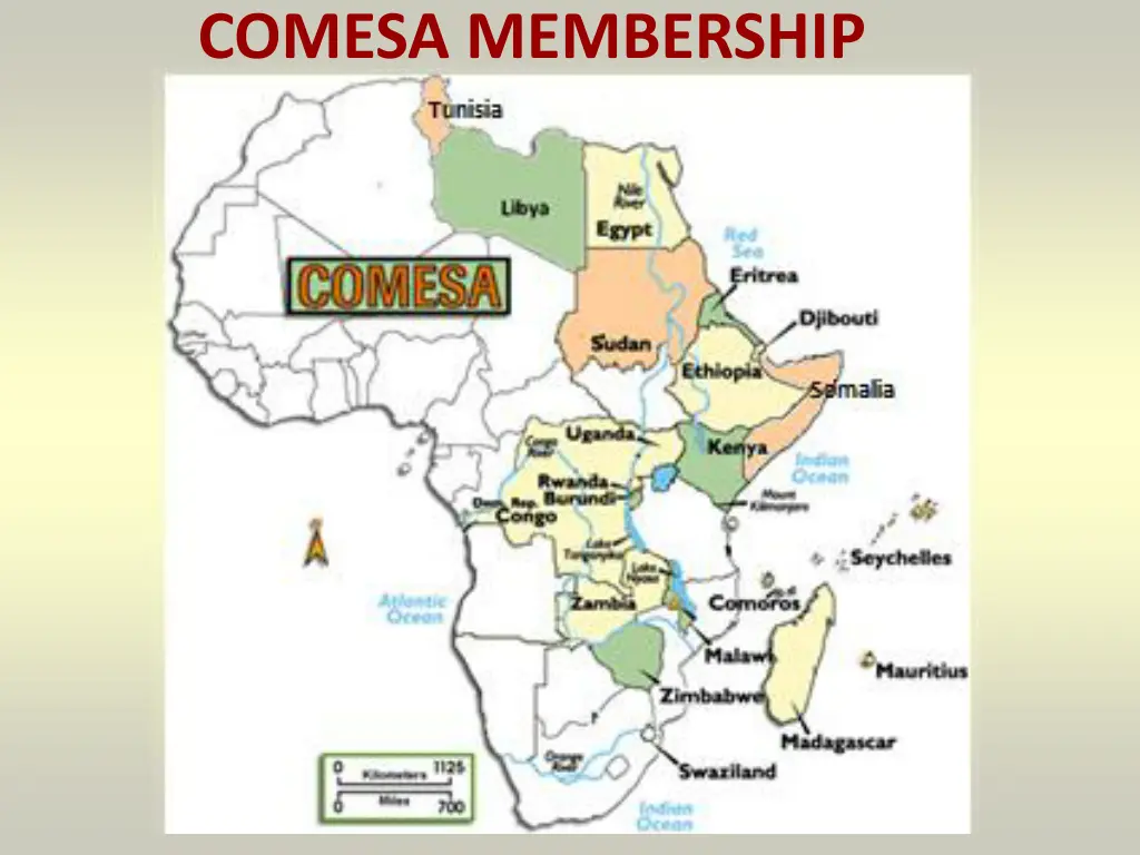 comesa membership