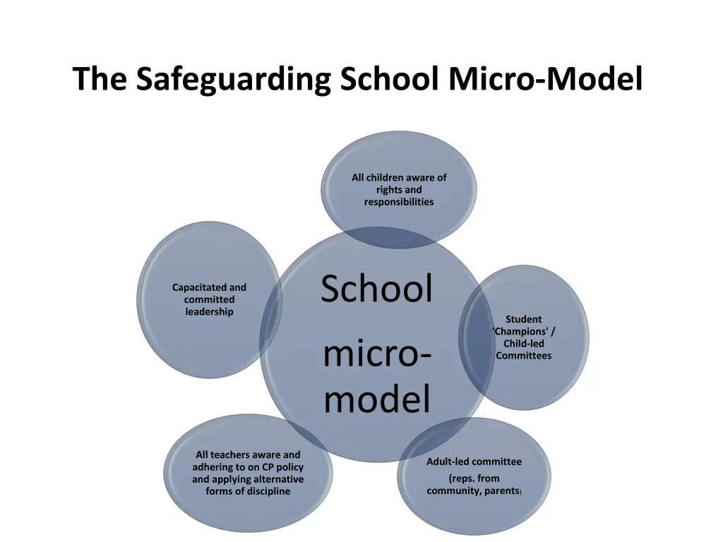 the safeguarding school micro model