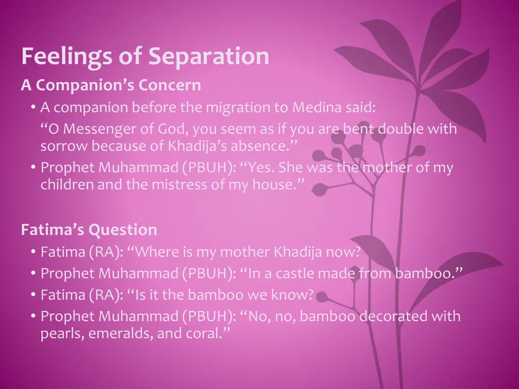 feelings of separation a companion s concern