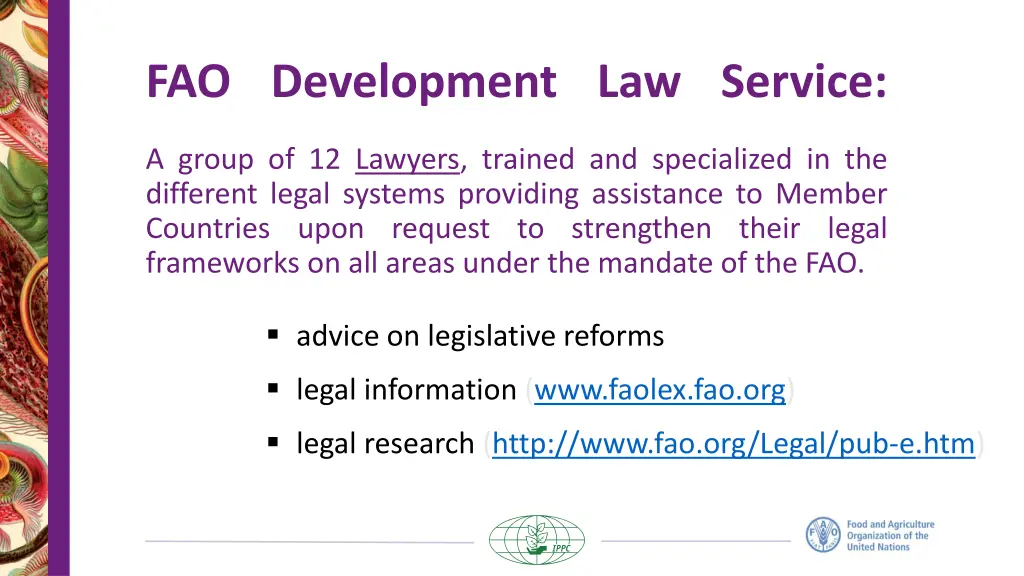 fao development law service