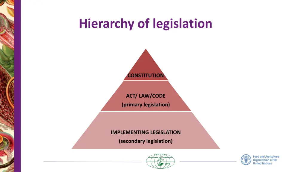 hierarchy of legislation