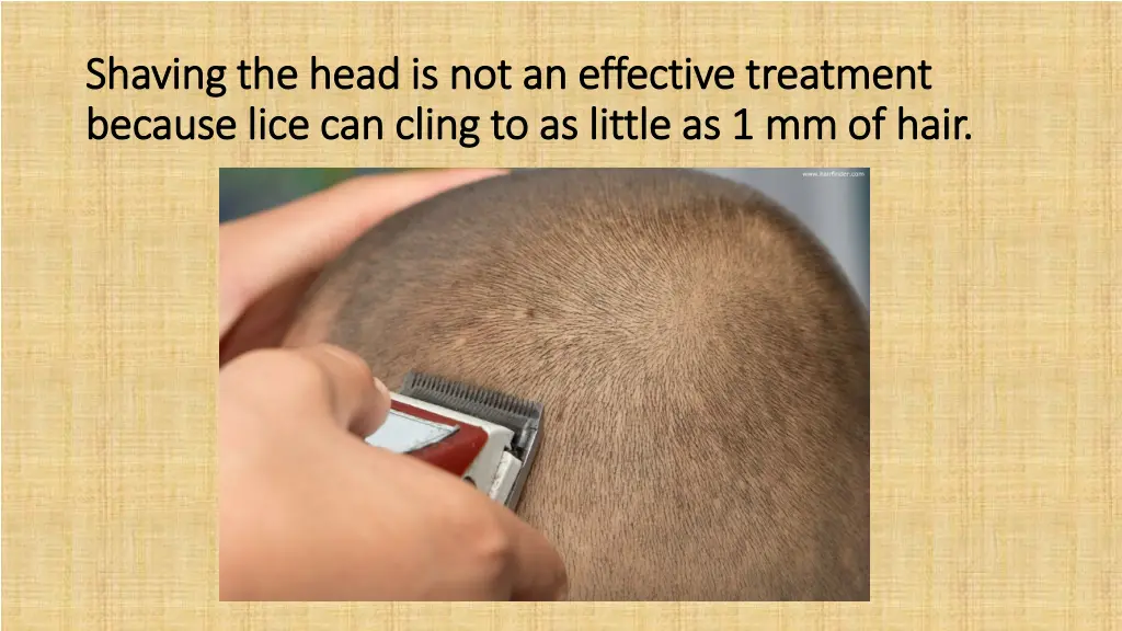 shaving the head is not an effective treatment