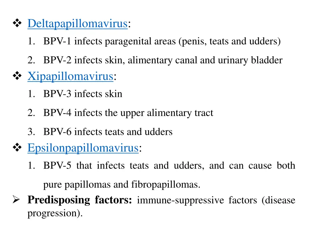 deltapapillomavirus 1 bpv 1 infects paragenital