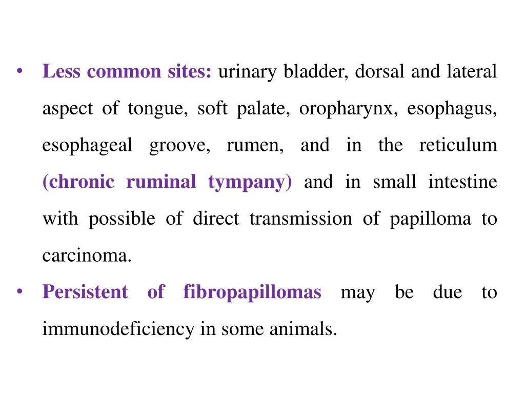 less common sites urinary bladder dorsal