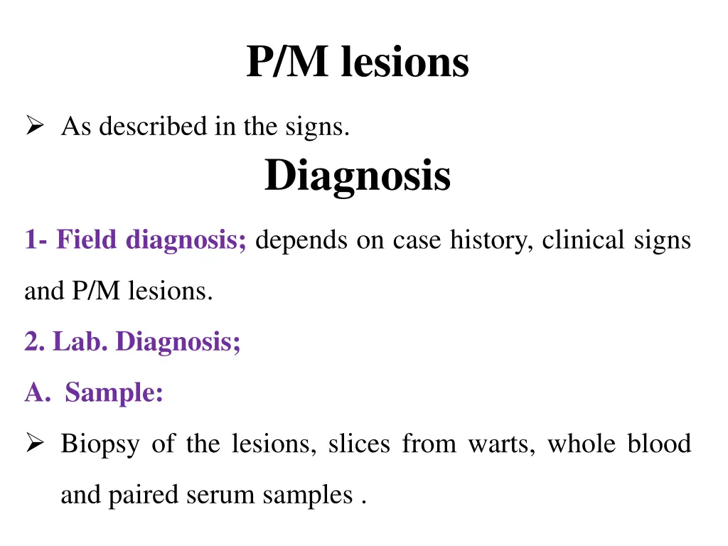 p m lesions