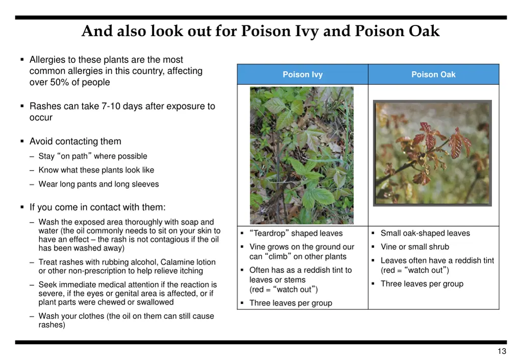 and also look out for poison ivy and poison oak