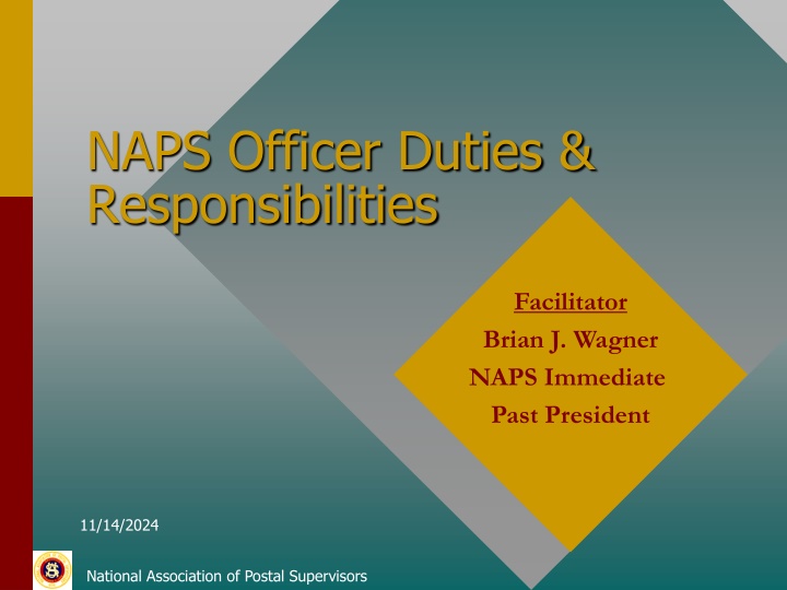 naps officer duties responsibilities