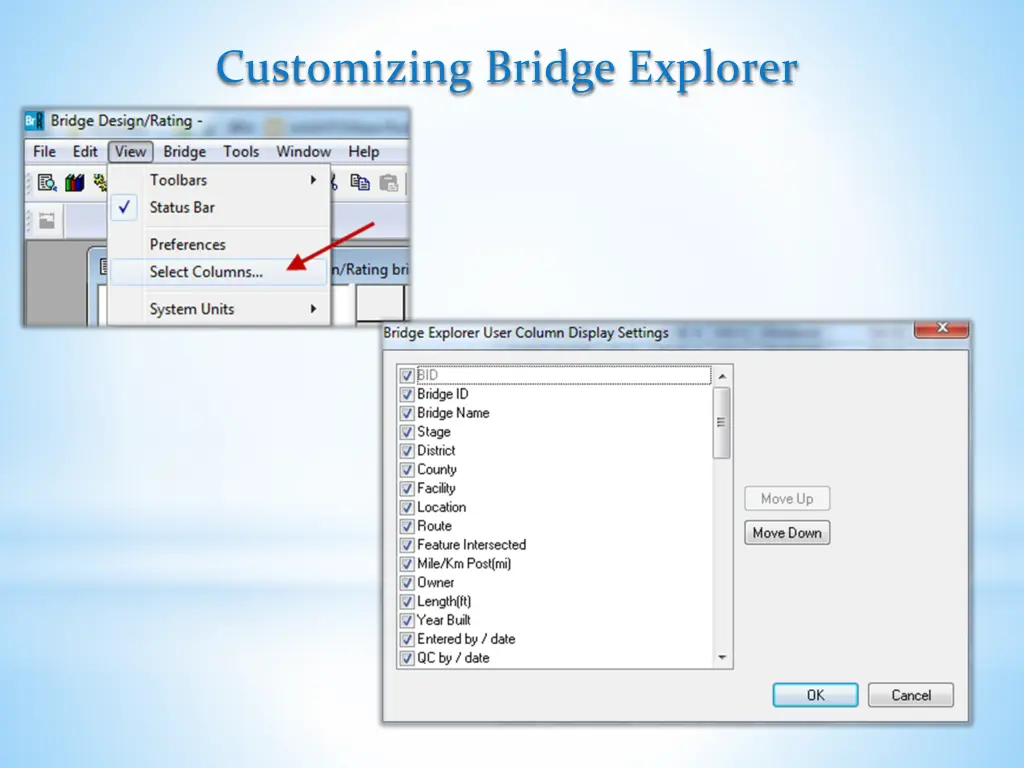 customizing bridge explorer 2