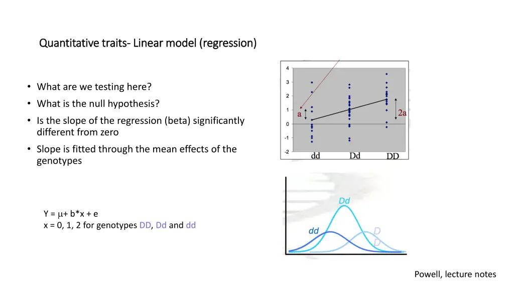 quantitative traits quantitative traits linear