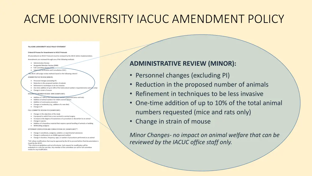 acme looniversity iacuc amendment policy 1