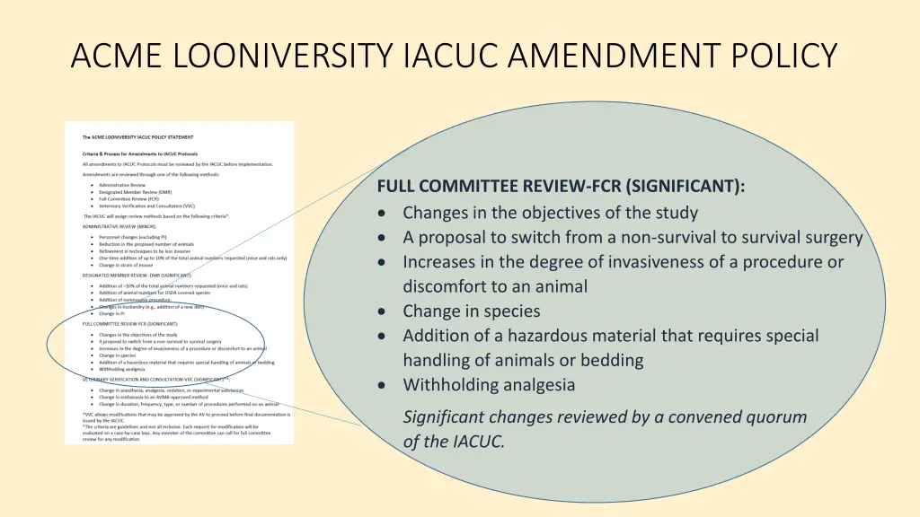 acme looniversity iacuc amendment policy 3