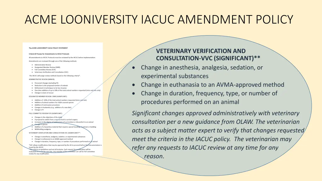 acme looniversity iacuc amendment policy 4