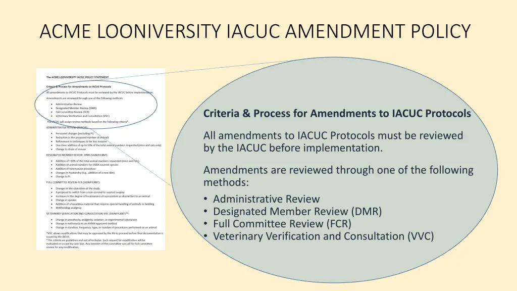 acme looniversity iacuc amendment policy