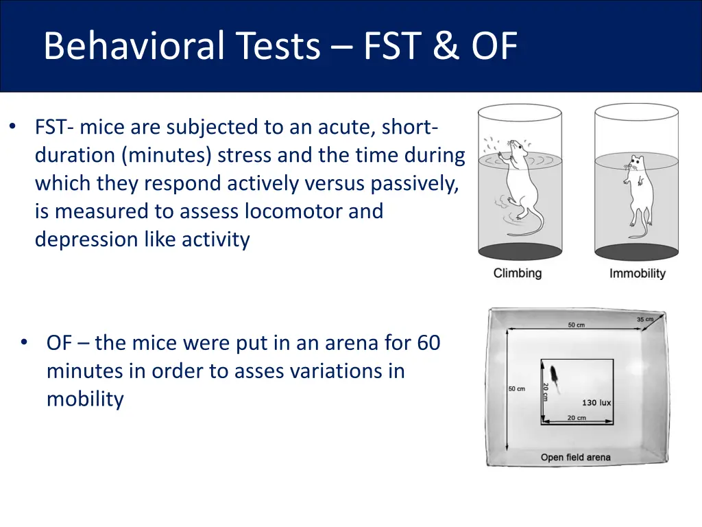 behavioral tests fst of