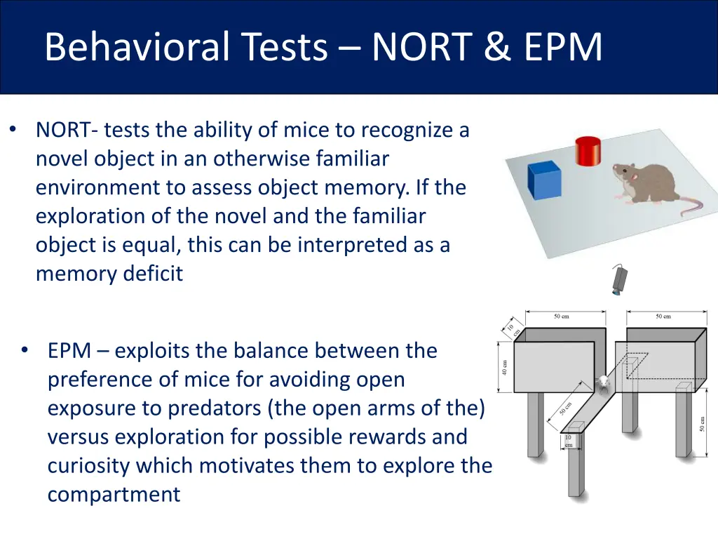 behavioral tests nort epm