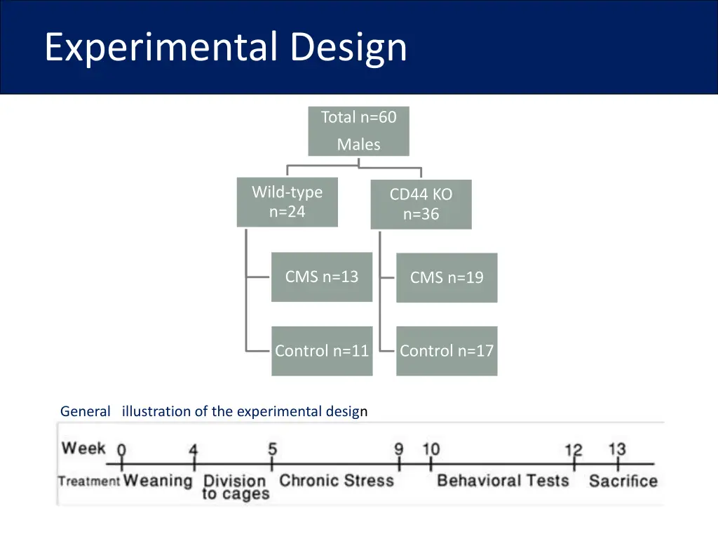 experimental design