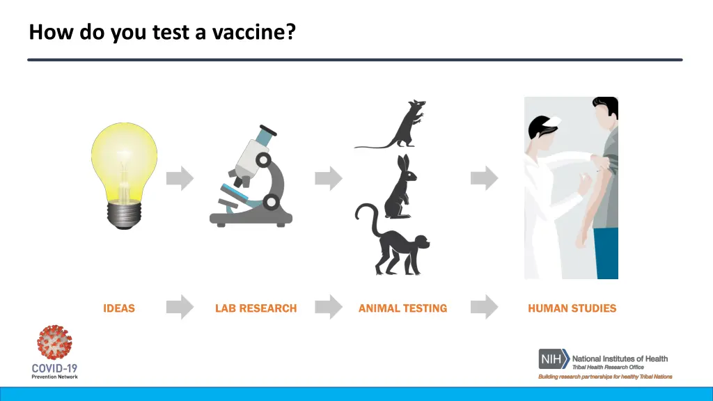 how do you test a vaccine