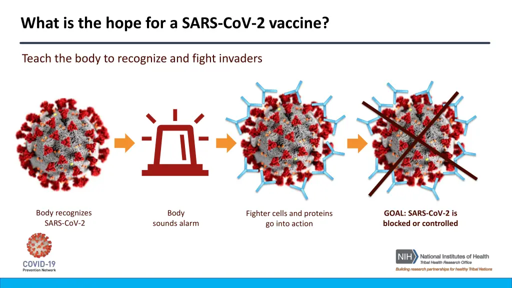 what is the hope for a sars cov 2 vaccine 1