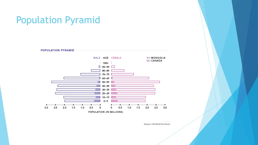 population pyramid