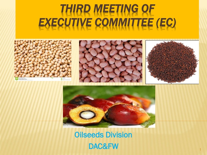 third meeting of third meeting of executive