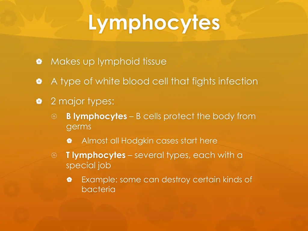 lymphocytes