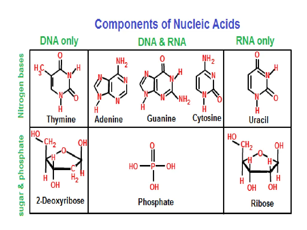 slide11